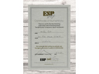 ESP M-II DX See Thru Black Sunburst ESP M-II DX See Thru Black Sunburst